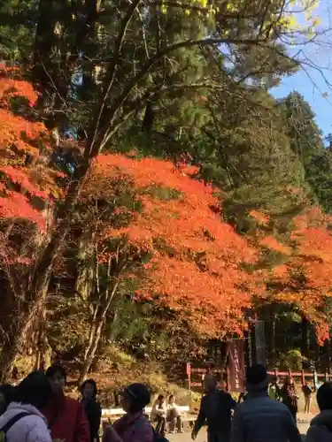 輪王寺の自然