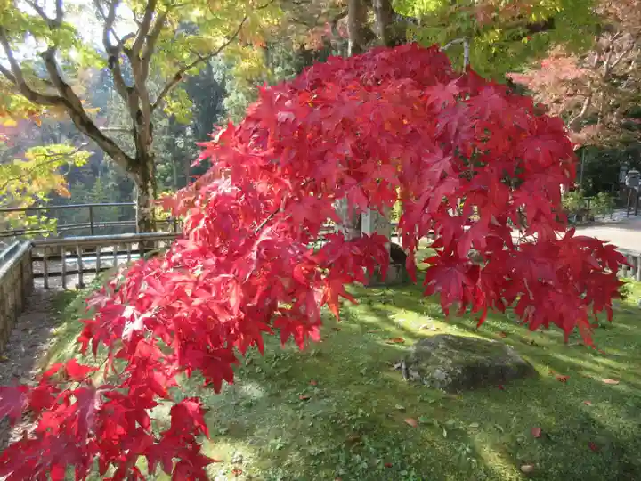 長谷寺(奈良県)