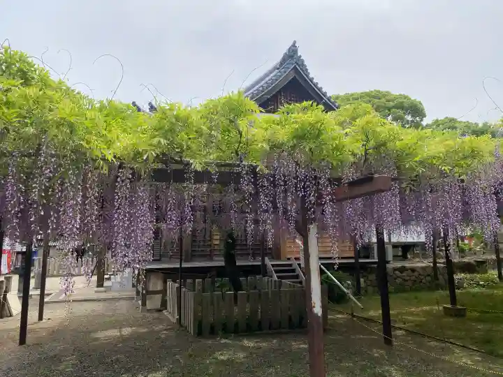 葛井寺の{uncategorized: "未分類", other: "その他", undefined: "問題あり", building: "その他建物", grave: "お墓", sacred_gate: "鳥居", guardian: "狛犬", statue: "像", buddha: "仏像", history: "歴史", nature: "自然", garden: "庭園", animal: "動物", pagoda: "塔", temizu: "手水舎", mountain_gate: "山門・神門", sanctuary: "本殿・本堂", subordinate: "末社・摂社", art: "芸術", scenery: "景色", jizo: "地蔵", ema: "絵馬", goshuin: "御朱印", omikuji: "おみくじ", items: "授与品その他", amulet: "お守り", goshuincho: "御朱印帳", eats: "食事", festival: "お祭り", votive_dance: "神楽", shichigosan: "七五三参", wedding: "結婚式", experience: "体験その他", initially: "初詣", around: "周辺", anti_infection: "感染症対策"}