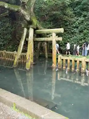 奥宮(鹿島神宮摂社)(茨城県)