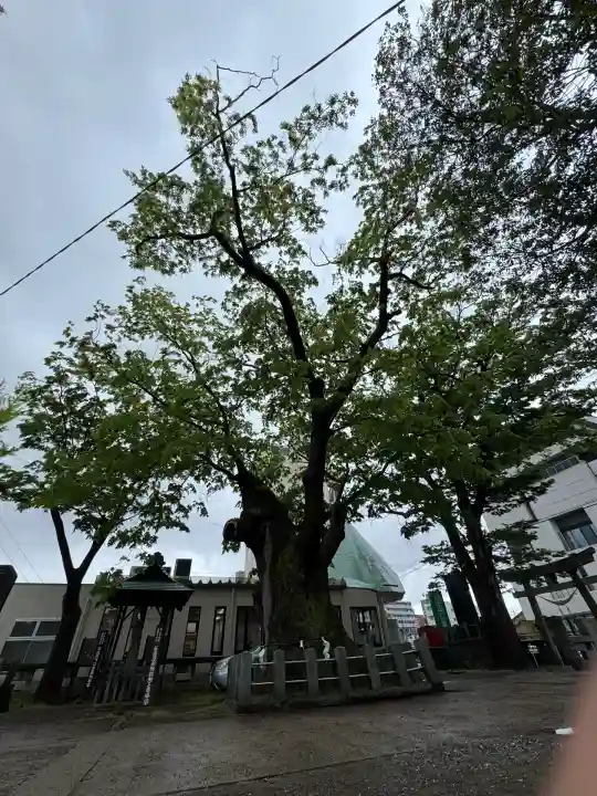 阿邪訶根神社(福島県)