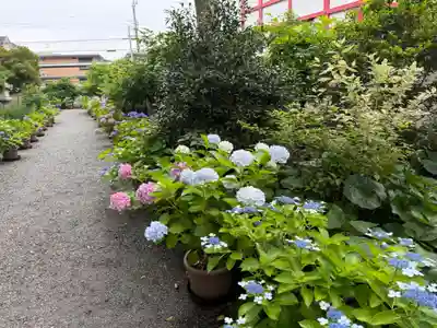 奈加美神社(大阪府)
