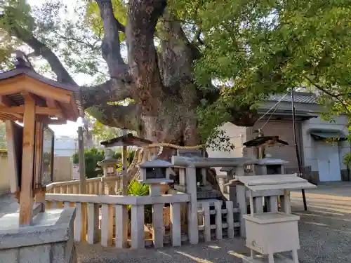 杭全神社(大阪府)
