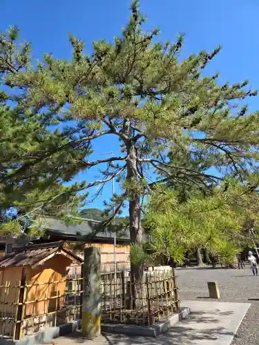 氣比神宮(福井県)