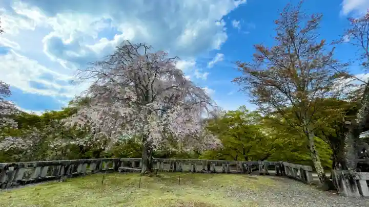 吉野神宮の自然
