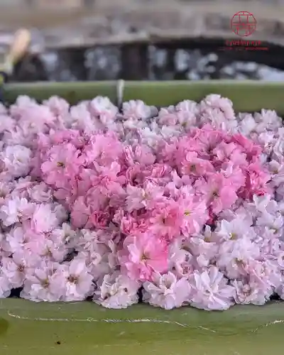 立志神社(滋賀県)