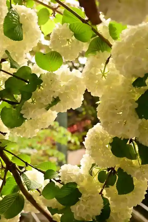 久能山東照宮(静岡県)