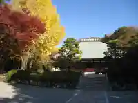 浄妙寺(神奈川県)