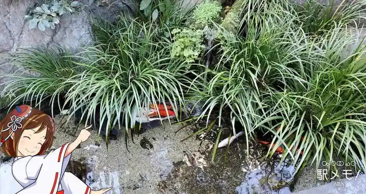 厳嶋神社の庭園