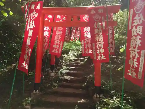 佐助稲荷神社の鳥居