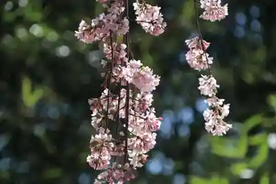 愛宕神社(福島県)