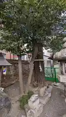 菅原院天満宮神社(京都府)