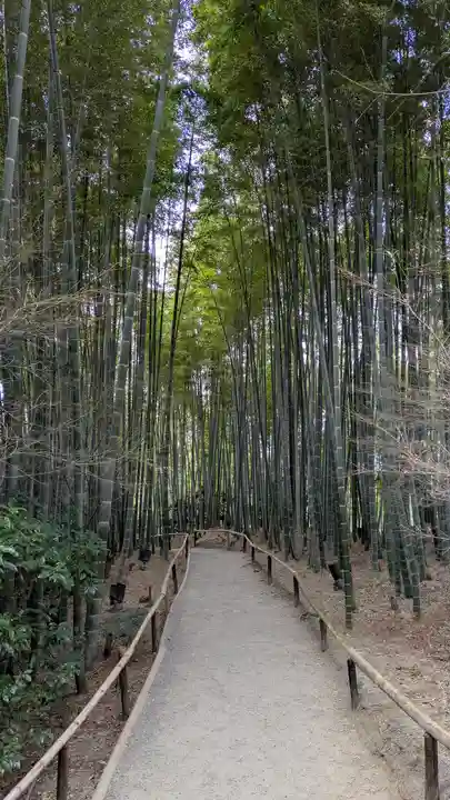 高台寺(高台寿聖禅寺・高臺寺)(京都府)