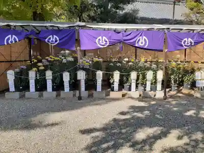 道明寺天満宮(大阪府)