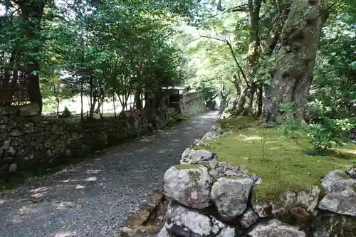 若狭神宮寺の自然