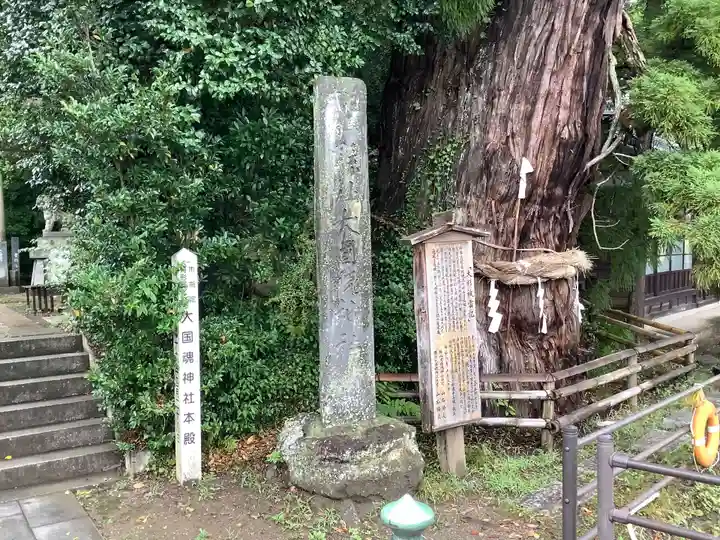大國魂神社の自然