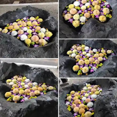 月寒神社の手水舎