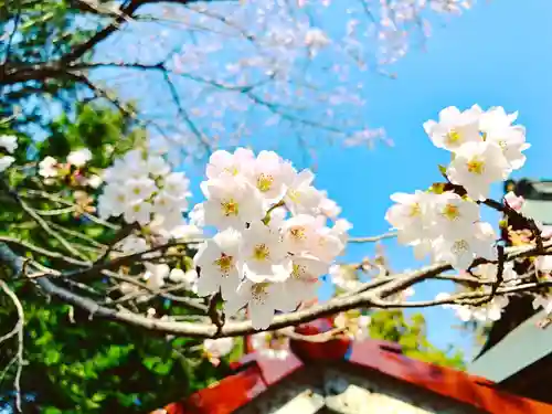 滑川神社 - 仕事と子どもの守り神の自然