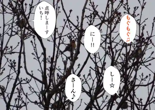 留辺蘂神社の動物