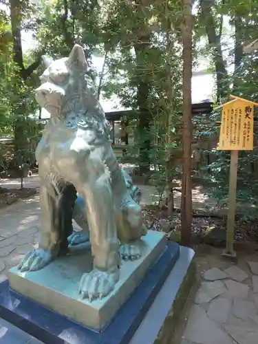 駒木諏訪神社の狛犬