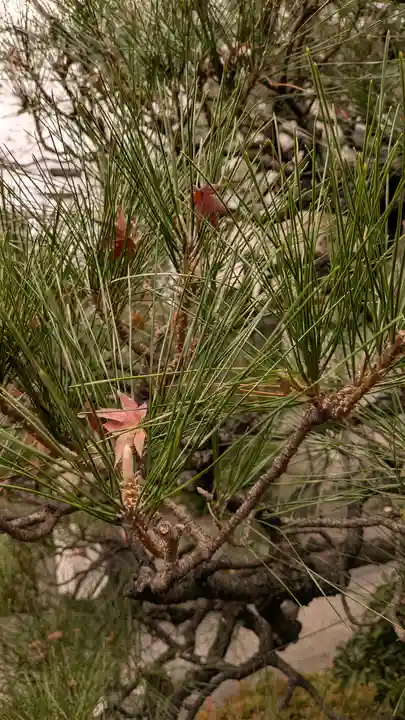 宝蔵寺(京都府)