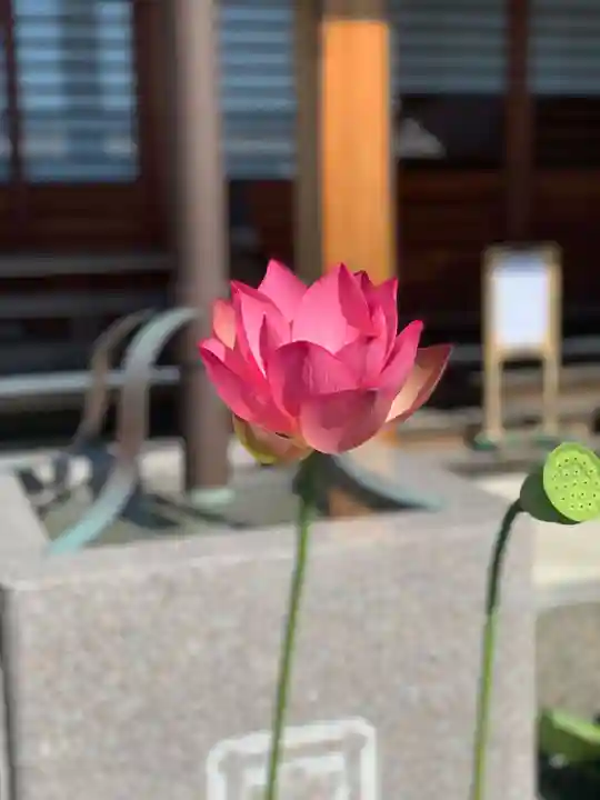 上行寺(静岡県)