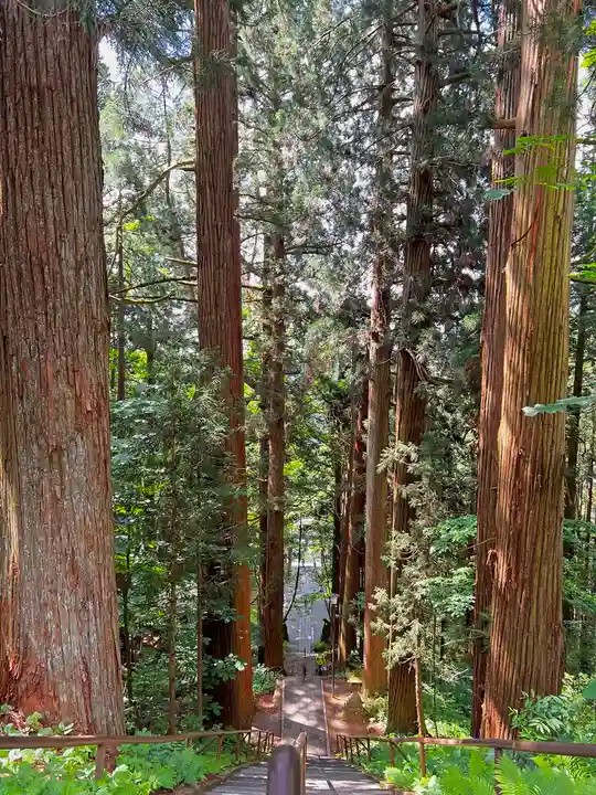 戸隠神社宝光社(長野県)