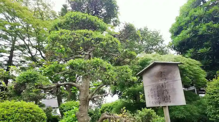 慶性院のその他建物