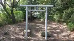 根渡神社の鳥居