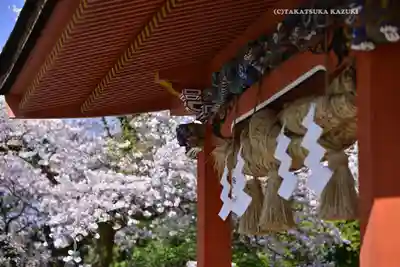 富士山本宮浅間大社(静岡県)
