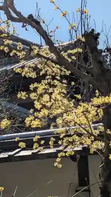 隨心院（随心院）(京都府)
