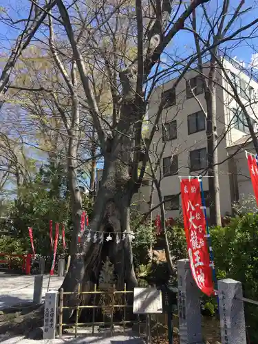 秩父今宮神社のその他建物