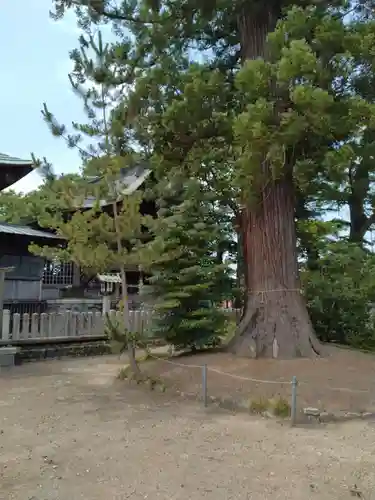諏訪神社(福島県)