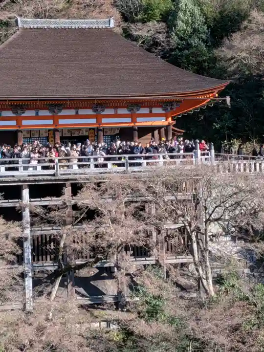 清水寺の{uncategorized: "未分類", other: "その他", undefined: "問題あり", building: "その他建物", grave: "お墓", sacred_gate: "鳥居", guardian: "狛犬", statue: "像", buddha: "仏像", history: "歴史", nature: "自然", garden: "庭園", animal: "動物", pagoda: "塔", temizu: "手水舎", mountain_gate: "山門・神門", sanctuary: "本殿・本堂", subordinate: "末社・摂社", art: "芸術", scenery: "景色", jizo: "地蔵", ema: "絵馬", goshuin: "御朱印", omikuji: "おみくじ", items: "授与品その他", amulet: "お守り", goshuincho: "御朱印帳", eats: "食事", festival: "お祭り", votive_dance: "神楽", shichigosan: "七五三参", wedding: "結婚式", experience: "体験その他", initially: "初詣", around: "周辺", anti_infection: "感染症対策"}