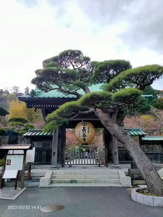 長谷寺の山門・神門
