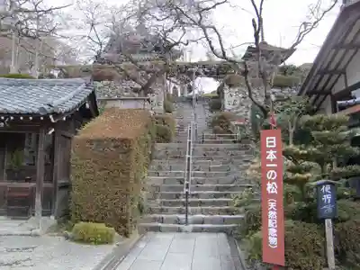 善峯寺(京都府)