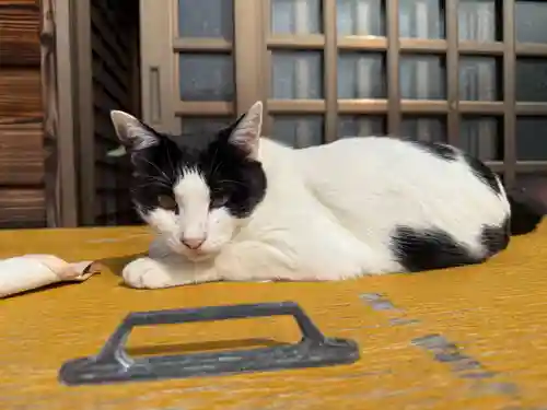 井際山 如意輪寺(愛知県)