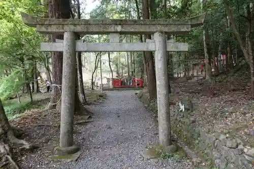 出雲大神宮の鳥居