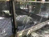 和気神社の動物