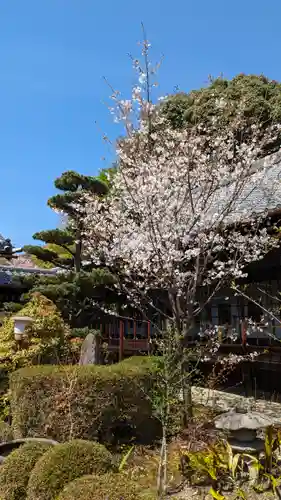 轉法輪寺の自然