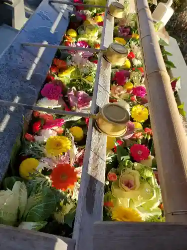 豊景神社の手水