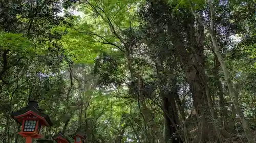 宇佐神宮の自然