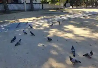 三津厳島神社(愛媛県)