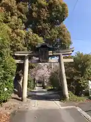 日吉神社の鳥居