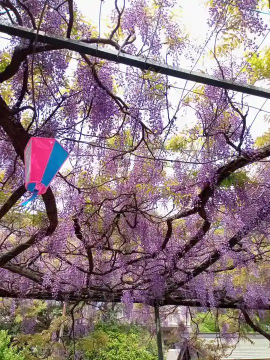國領神社(東京都)