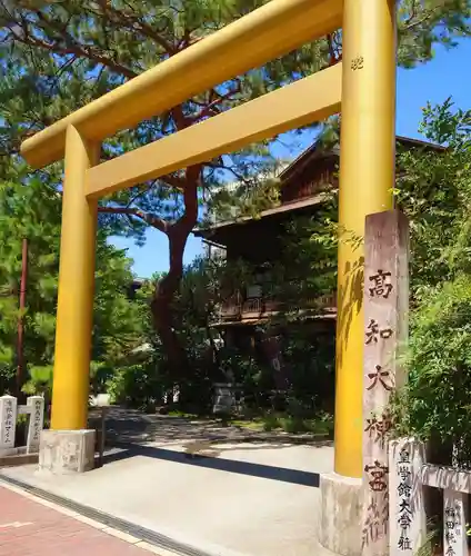 高知大神宮の鳥居