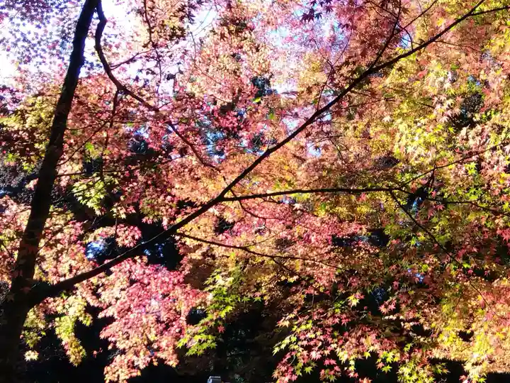 三千院門跡(京都府)