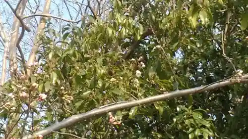 比佐豆知神社(三重県)
