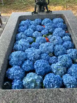 士幌神社(北海道)