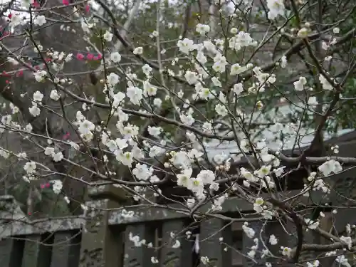 御霊神社の自然